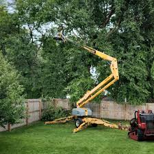 Best Firewood Processing and Delivery  in Front Royal, VA
