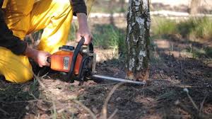 Best Lot and Land Clearing  in Front Royal, VA